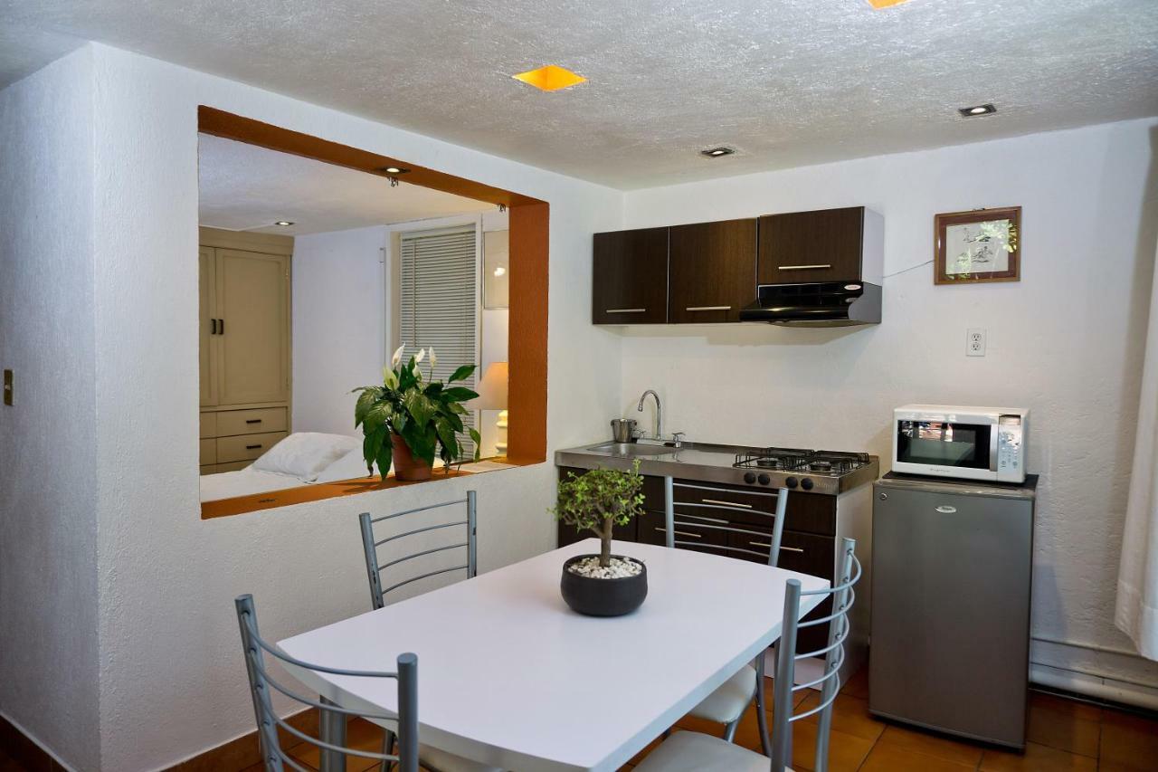 Suite 4A, Terraza, Garden House, Welcome To San Angel Mexico Extérieur photo