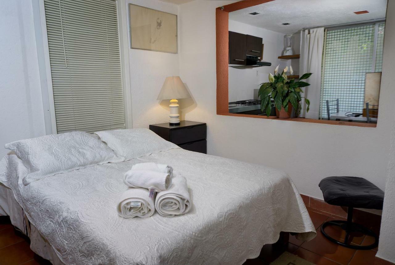 Suite 4A, Terraza, Garden House, Welcome To San Angel Mexico Extérieur photo
