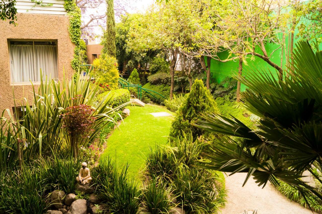 Suite 4A, Terraza, Garden House, Welcome To San Angel Mexico Extérieur photo