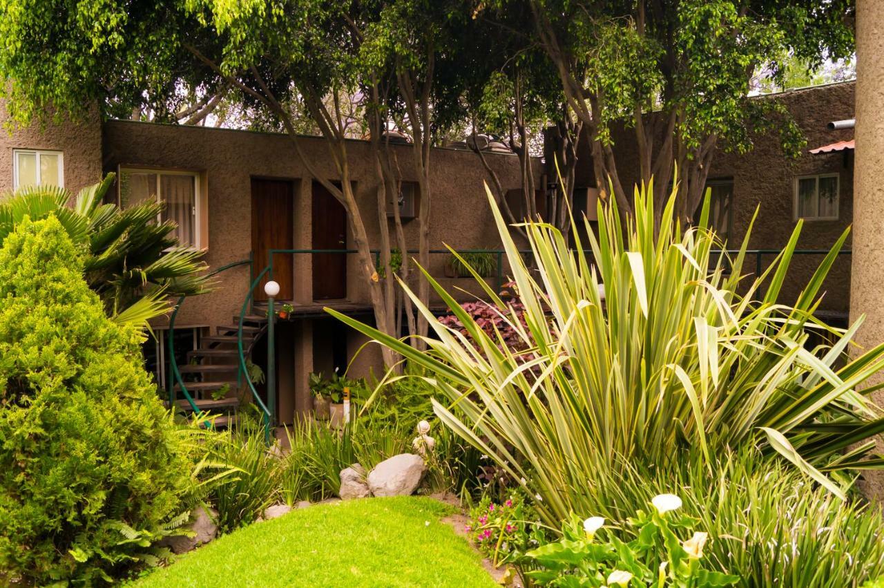 Suite 4A, Terraza, Garden House, Welcome To San Angel Mexico Extérieur photo