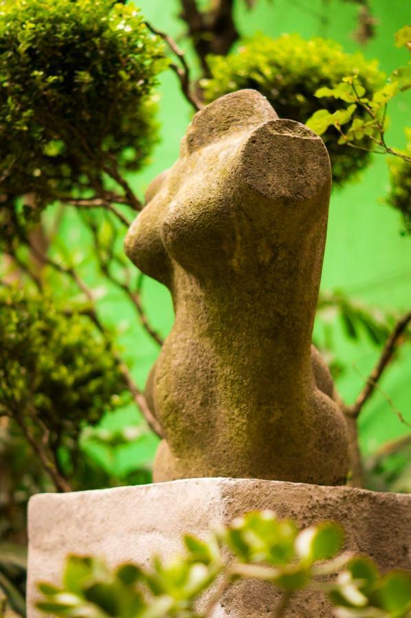 Suite 4A, Terraza, Garden House, Welcome To San Angel Mexico Extérieur photo