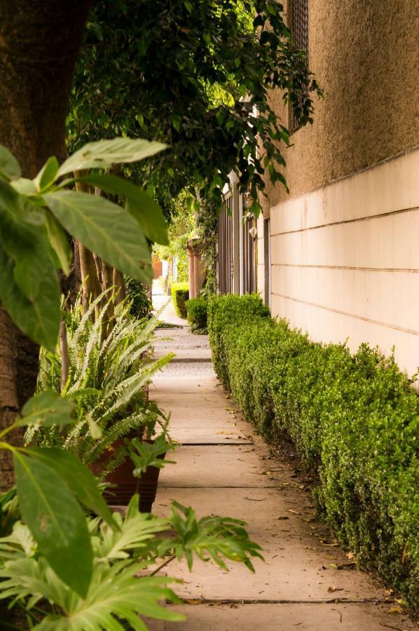 Suite 4A, Terraza, Garden House, Welcome To San Angel Mexico Extérieur photo